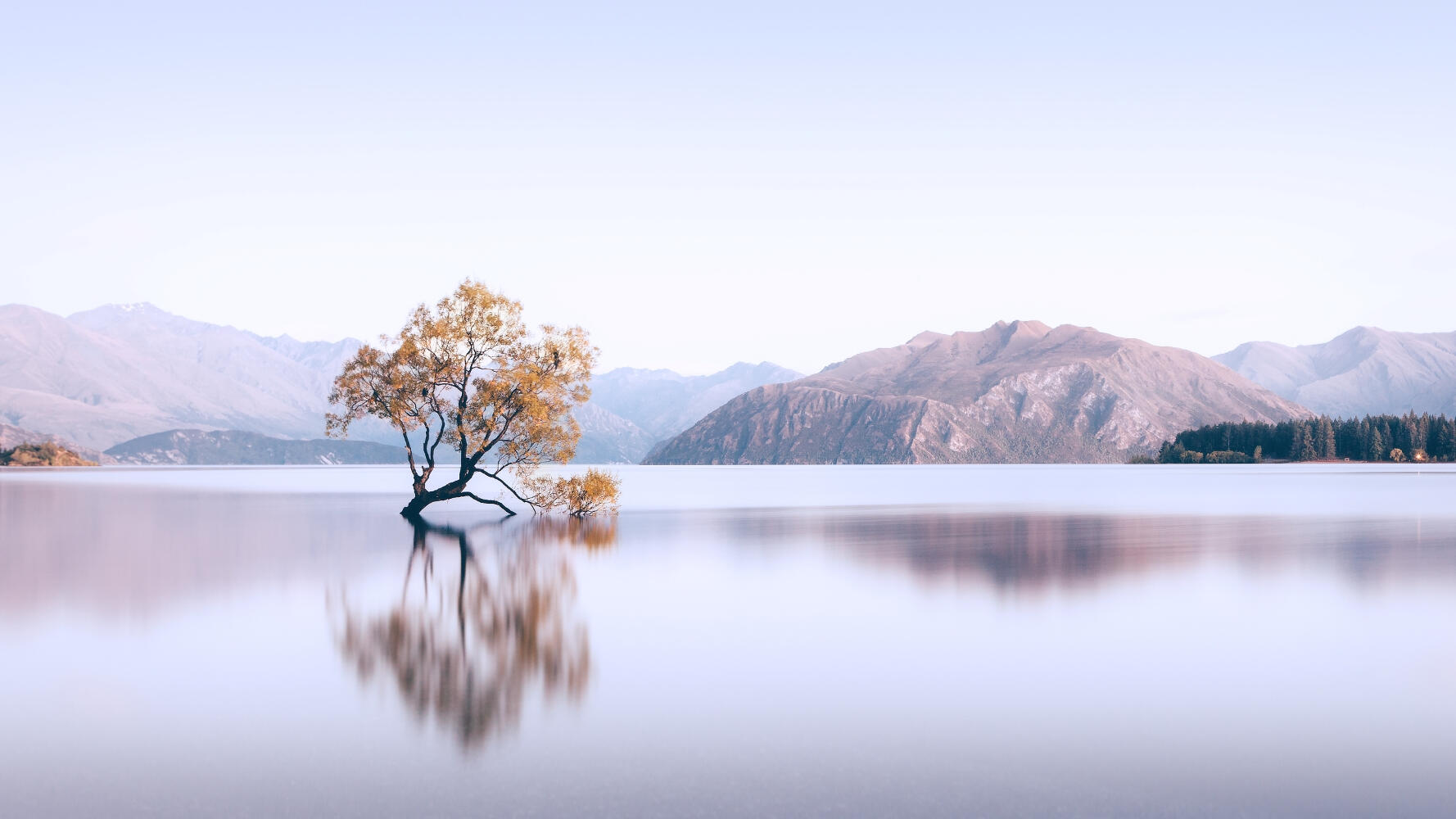 Wanaka (2017)